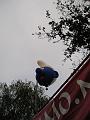 Ballon Fiesta Breda (9)